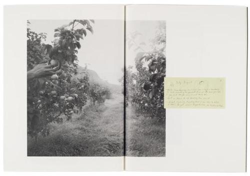 deszczowe-dni:  Raymond Meeks, from the books ‘Where Objects Fall Away’ and ‘orcha