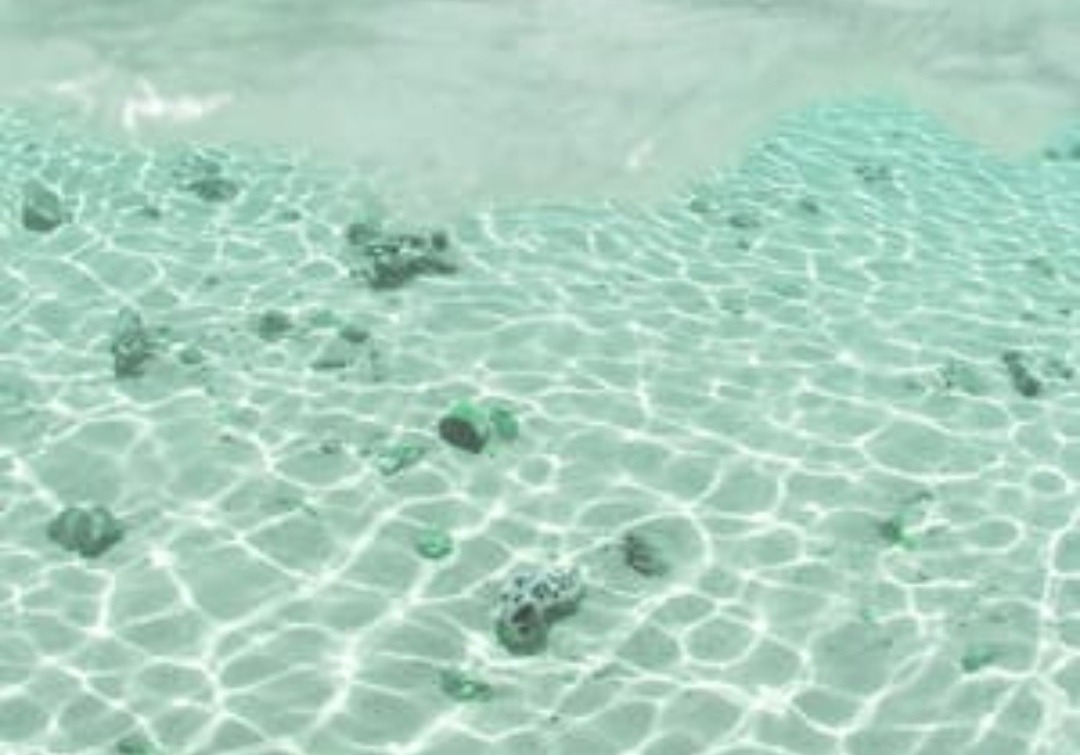 mint green vs mint blue mint green vs mint blue