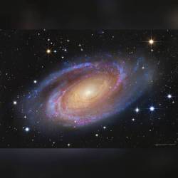 Bright Spiral Galaxy M81 #nasa #apod #naoj