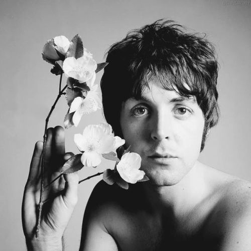 heymccartney:By Richard Avedon.11th August 1967;