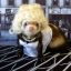 funkyferret101