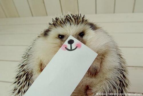 thefrogman:  Marutaro the Hedgehog [tumblr porn pictures