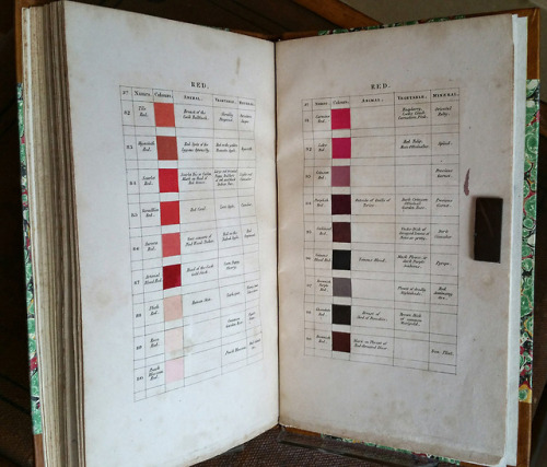 XXX itscolossal: Werner’s Nomenclature of Colours: photo