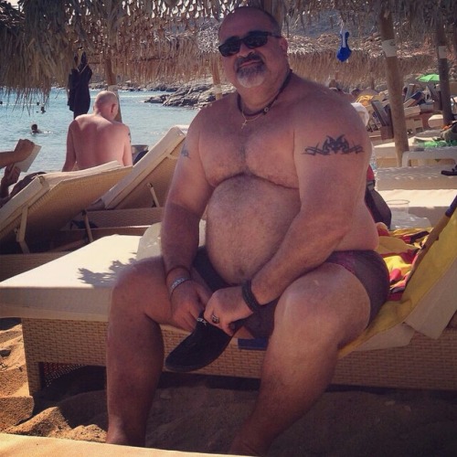 real-thick:  Stockyardbear! 
