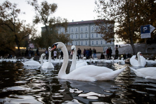 While in Prague, we also had the chance to take a ride on the Four Season’s boat they have for