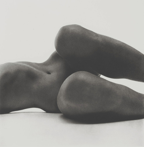 atmospheric-minimalism:  Irving Penn, Nude No. 5, about 1949–1950