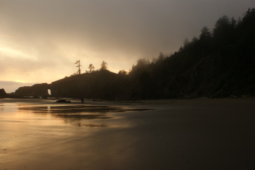 A bit of gold at the end of the day - Second Beach, La Push 