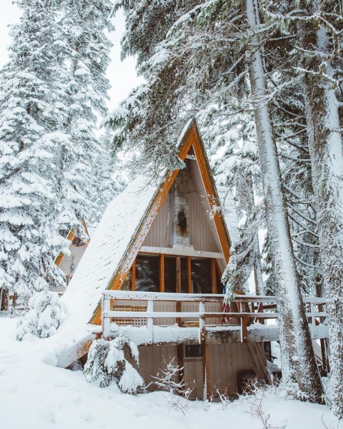 wild-cabins: Bryan Daugherty