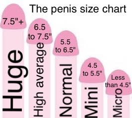 sissyforbbcblog:At 3.5inches, I’m definitely a micro penis..🐇🦄💦💓♠️  Well My Name Is Mark  My Tele Phone is (574)-806-2745) And I Life At 801  South  Main ST. In apt 13 Culver IN 46511 my EMAIL  Ismarkgenis@hotmail.com I’m Hope To