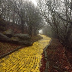 waitingforavarose:  coolcumbers:  coffee—queen:  Abandoned Wizard of Oz theme park, January 2015    Tim Burton should remake the wizard of oz and use this as a set