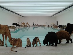 rafsmuse:  ahmoses:  Cai Guo-Qiang “Falling Back to Earth”  thhis is really overwhelming the first time u see it and u walk in like damn but it gets less impressive with every visit and every encounter with loud families. the drip in the middle is