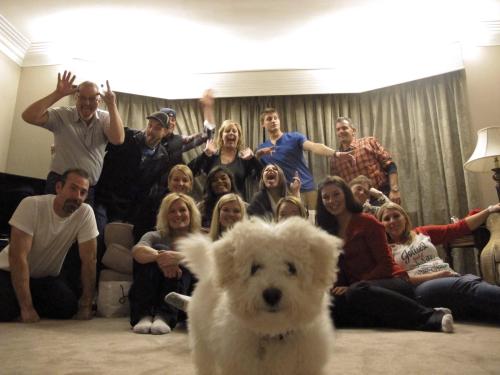 afrofilipino: awwww-cute: Family Christmas picture photobomb those assholes ruined this dogs selfi