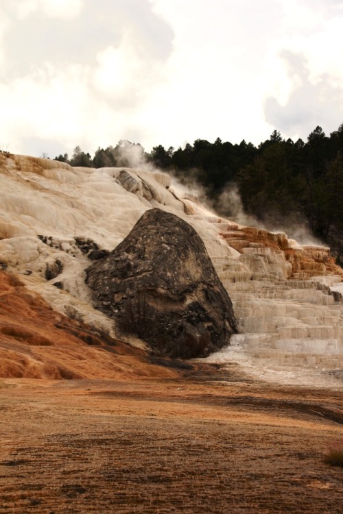 Mammoth Springs, Yellowstone National Park.2017