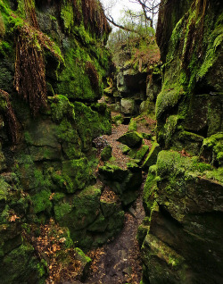 bluepueblo:  Moss Canyon, Staffordshire,