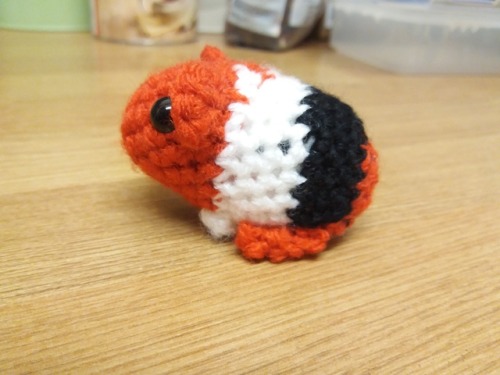 Found my new quick project - guinea pigs! Turns out I can knock these small boys out in about an hou