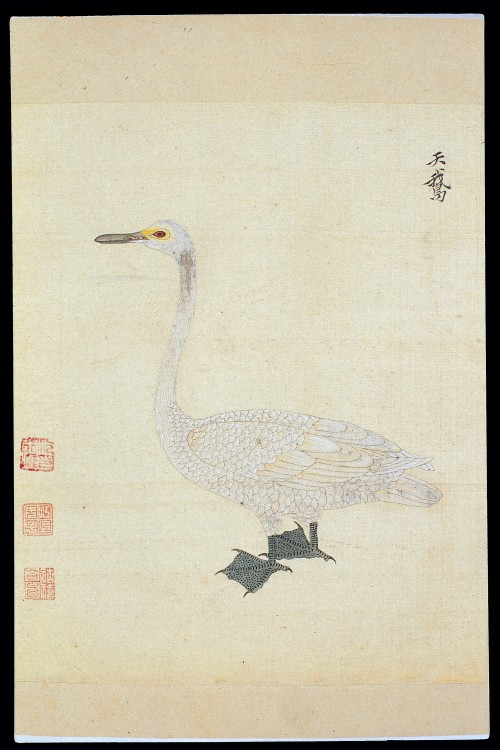 Zhou Hu & Zhou Xi, Swan, 1644