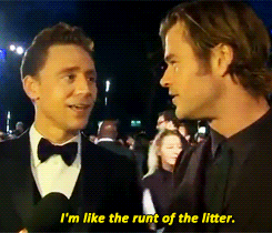 sterek-is-gayer-than-barrowman:  thorlokid:  x  I can honestly hear Tom’s laughter