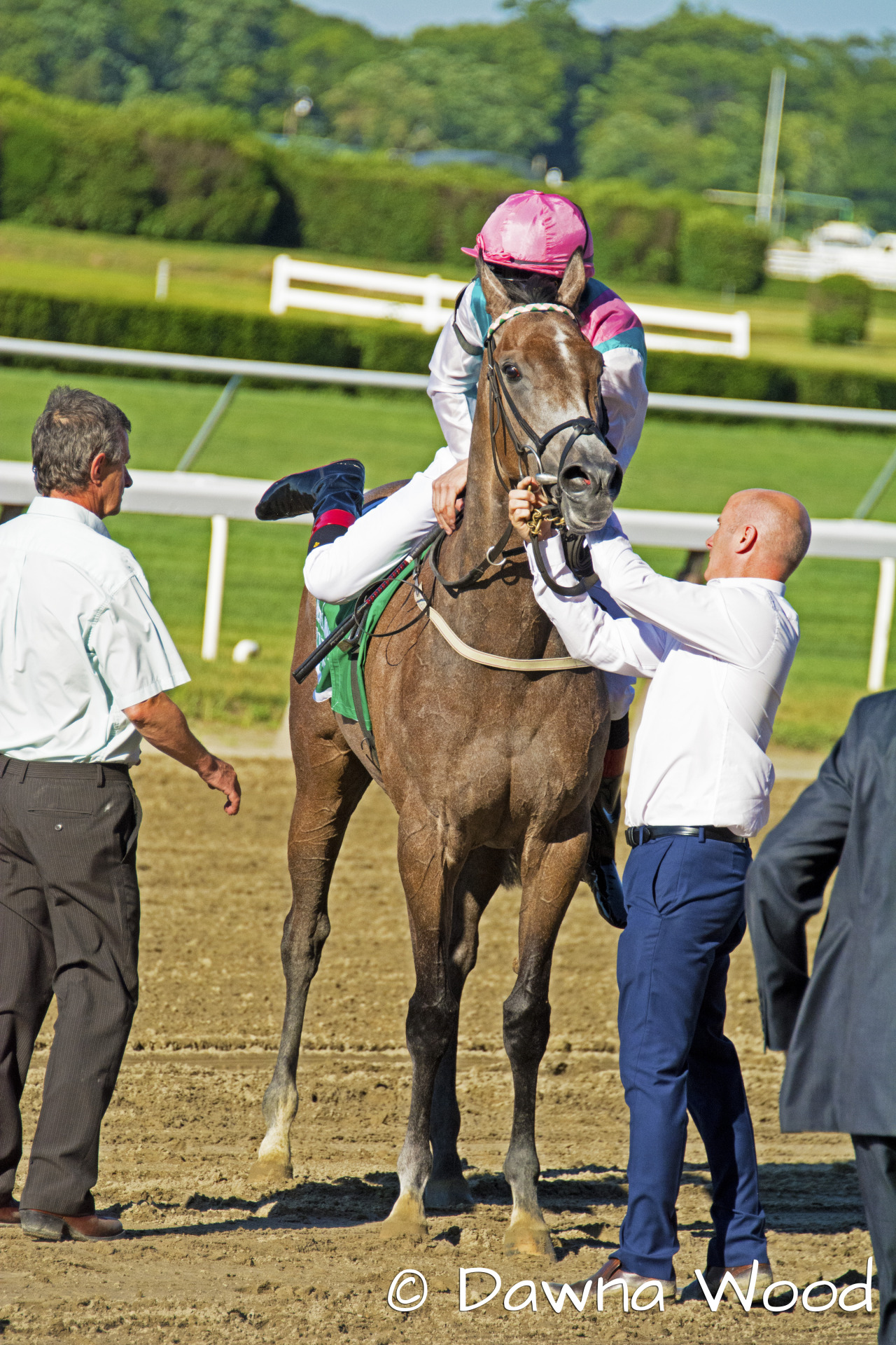 Flying Jib [GB] after finishing 8th in the Belmont Oaks (I)