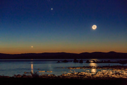 foxmouth:  Venus, Jupiter and the Moon, 2014 |