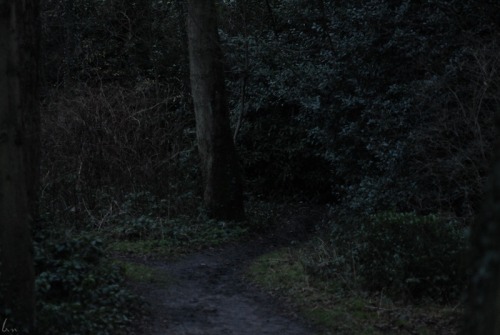 buron: Houses in the Trees (12) ©buron - January ‘15