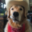 mutty-pup