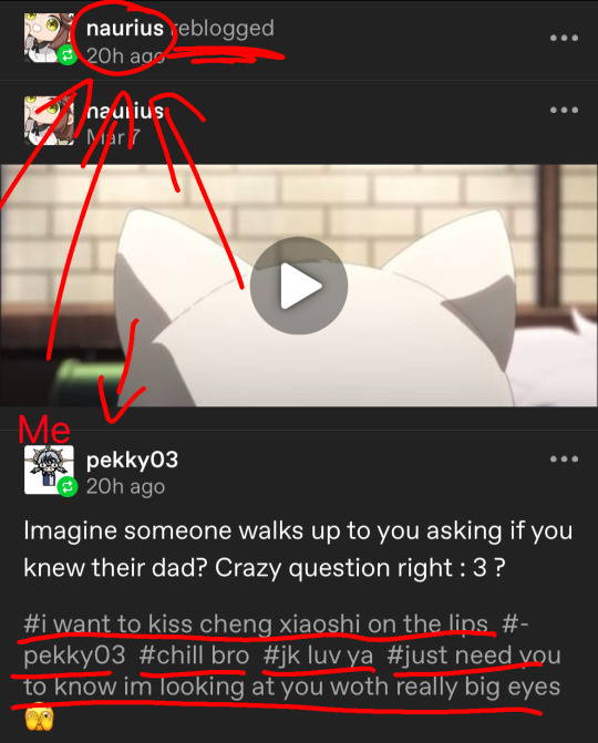 Tumblr media