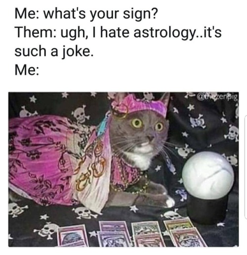 rainydaysandmagickways: Fucking same.