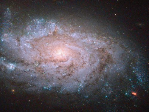 NGC 1084 [1600x1200]