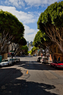 pedrocobo: Lombard St., San Francisco. Calles