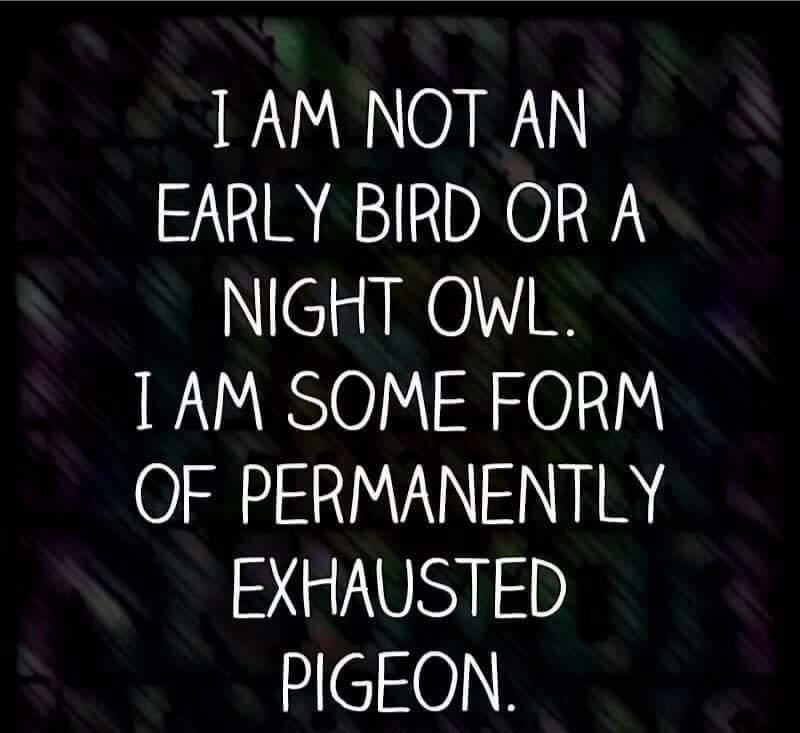 sixpenceeeblog:This describes me pretty well.