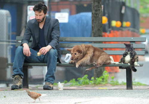 wwinterweb:  PSB: Distressed dog during fire drill (see 9 more) 