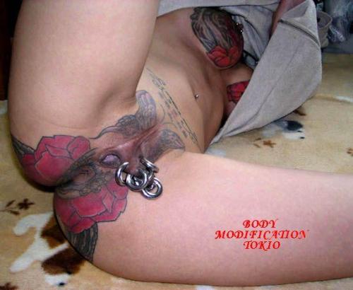 pussymodsgaloreMuch tattooing, but the points of particular interest to PMG are a stretched gaping pussy with piercings. She has piercings with inserted rings in both her inner and outer labia. All these pictures are watermarked “BODY MODIFICATION