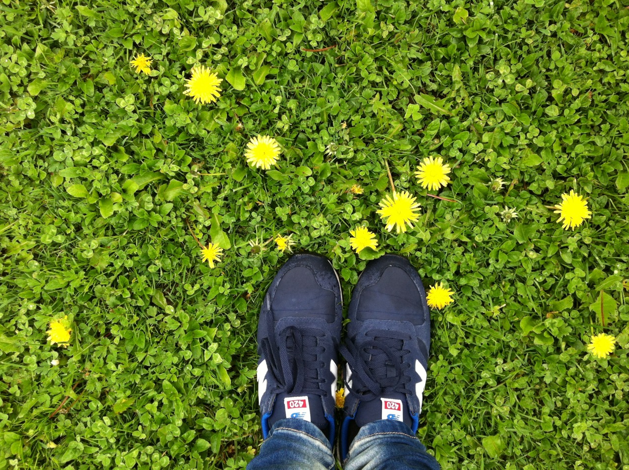 xlosingxgripxveganx:  summer ‘13