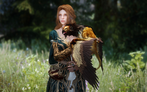 ho1ster: Ho1DrgPose V2 “Griffin”  +9 new object poses(No19~27).    Download (LE) (S