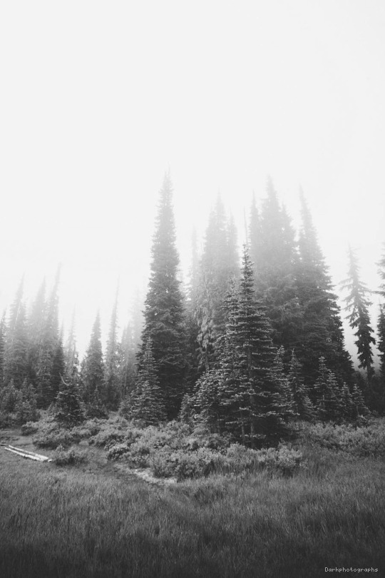 darkphotographs:Dark