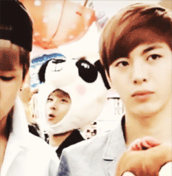 junseol:  12/∞ of my fav vixx moments: Panda Hakyeon trolling 