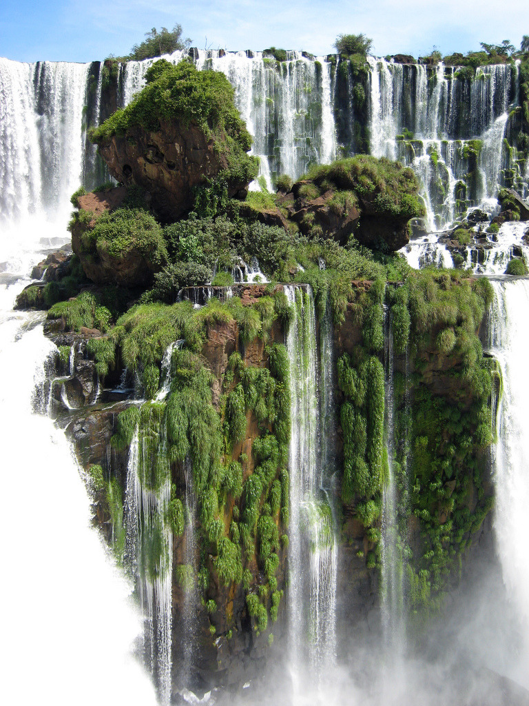 asylum-art-2:   Incredible Beauty of  Wild Nature   As an author of Empty Kingdom,