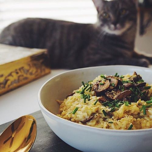 Vegan leek and mushroom risotto https://instagram.com/thecoloradoavocado