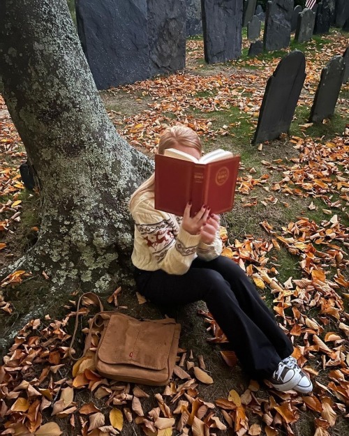 Autumn Vibes