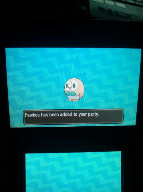 frenziedgem1: Meet Fawkes, my Rowlet! @kent-connolly aaaaaaaaaaaa i love it!! ^_^