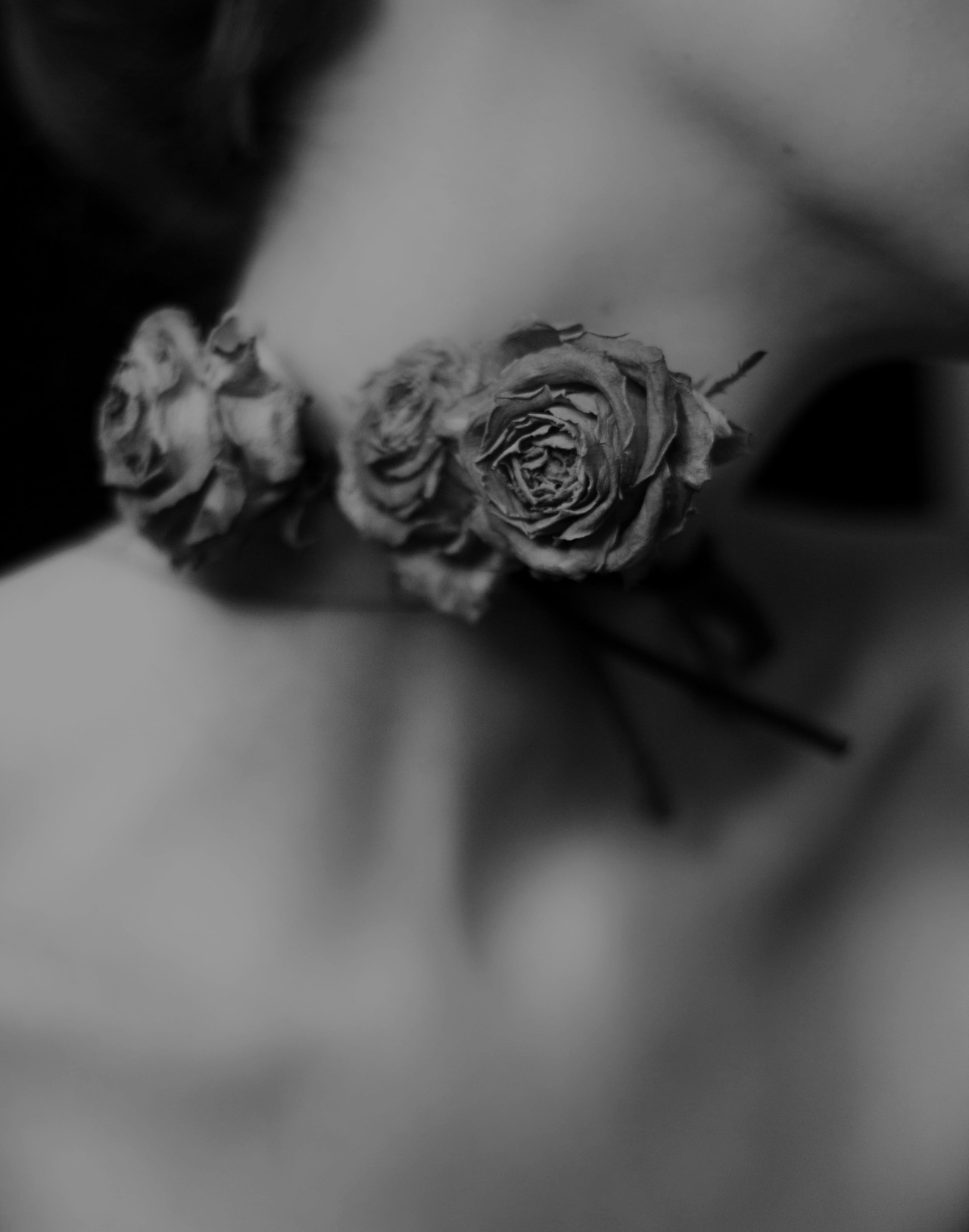 corpus-vertebrae:  https://www.facebook.com/corpus.vertebrae/ 