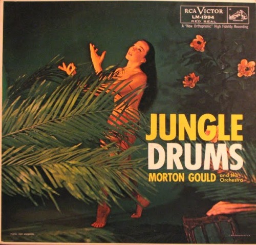 Morton Gould and His Orchestra - Jungle Drums adult photos