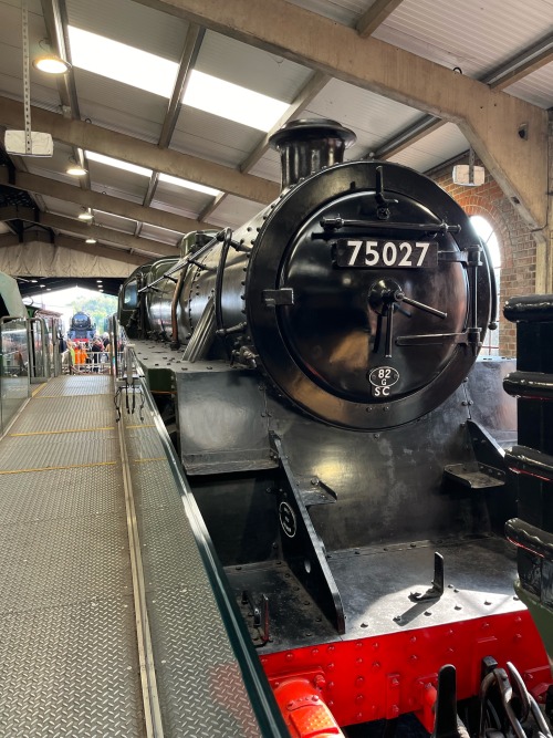 Further Adventures At Bluebell