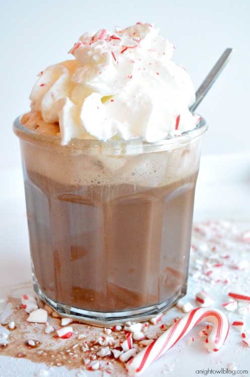 everythingaboutcoffee:Easy Peppermint Mocha RecipePrep time5 minsTotal time5 minsAuthor: Kimberly Sn