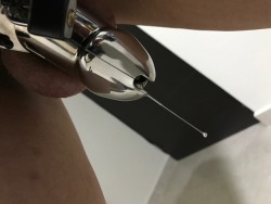 bdsmpmx:  Caged for the first time . It will last 4 days … new sensation  Chastity   anal play = 