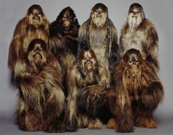 tokyo-bleep:The Chewbacca family