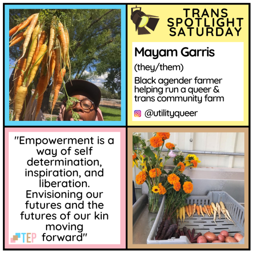 It’s #TransSpotlightSaturday today, and we are featuring Mayam Garris (they/them), a Black age