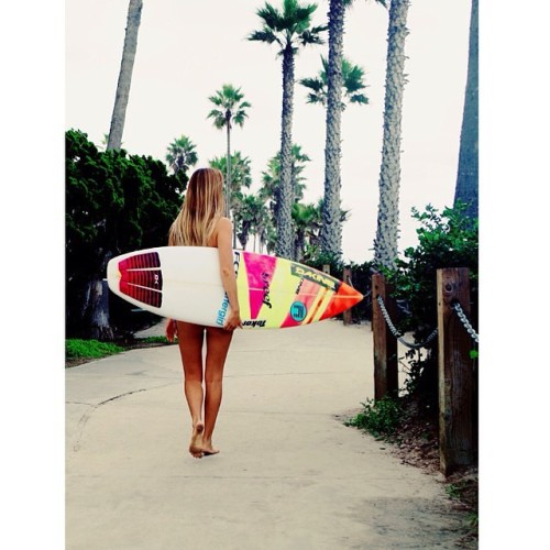 http://surfandbefree.tumblr.comHarley Rose Taich