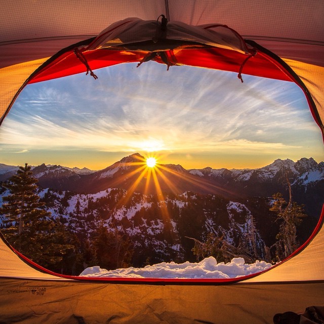journey-to-nirvana:  we’re all on a trip and its all gooood