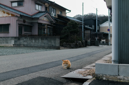 Fukui, February 2016